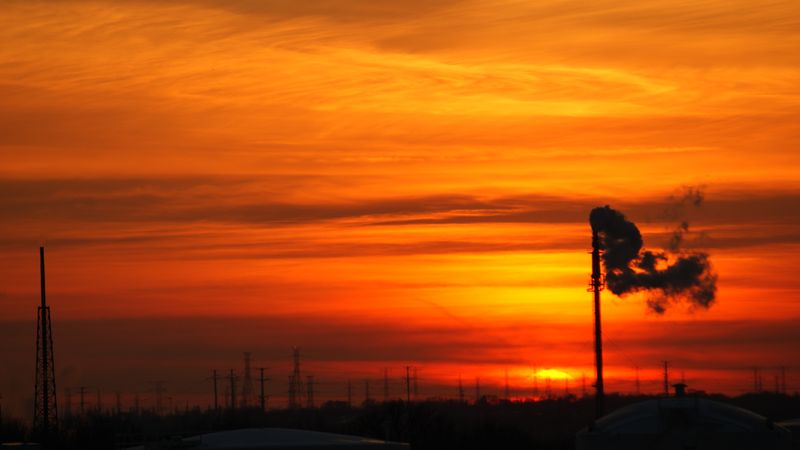 There probably is a cat in this picture.